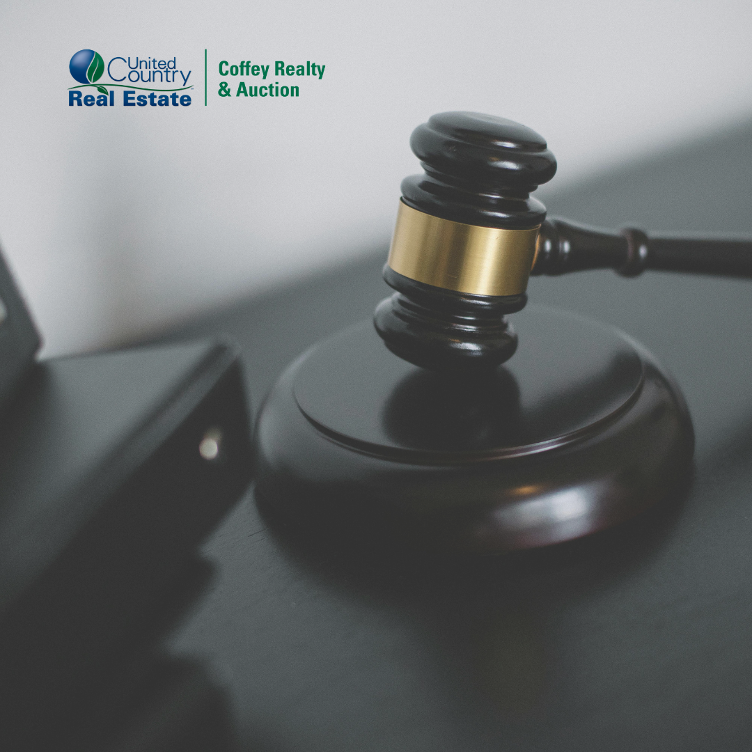 The History of Auctions: From Ancient Traditions to Modern Bidding